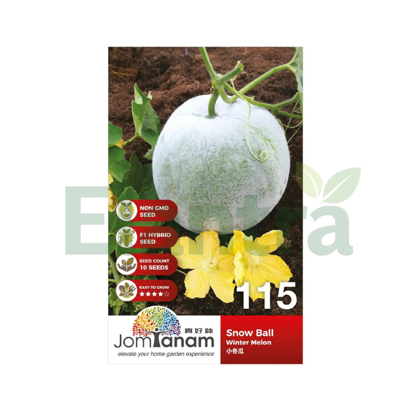 115 WINTER MELON